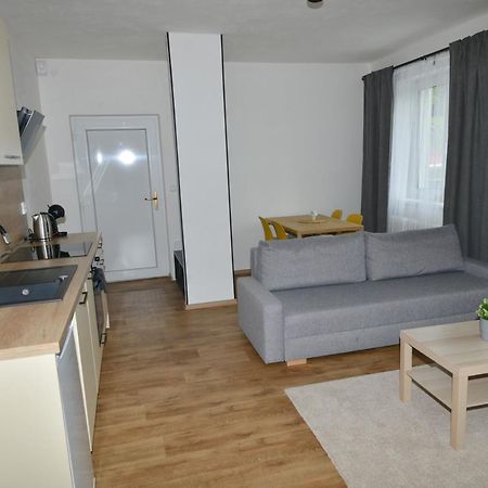 Apartmany U Peslu Železná Ruda 外观 照片