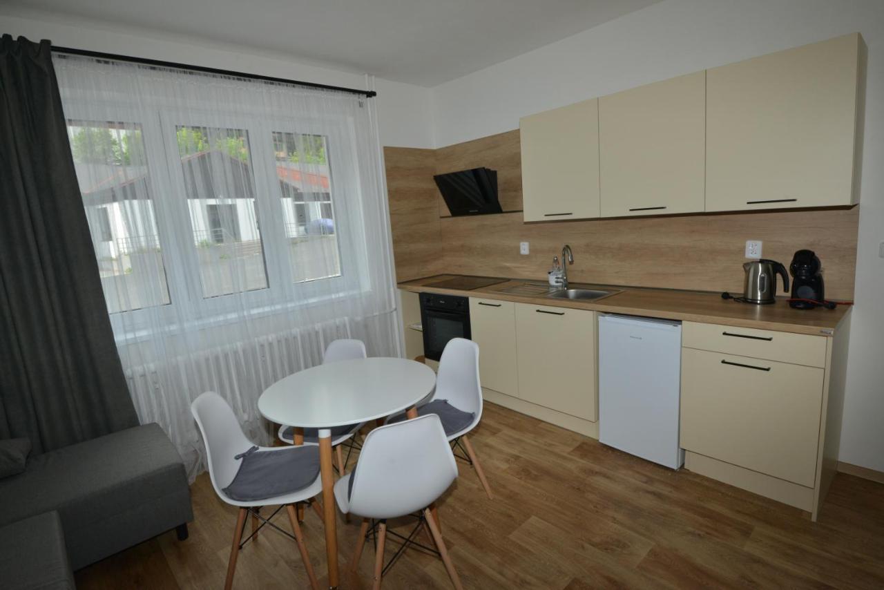 Apartmany U Peslu Železná Ruda 外观 照片